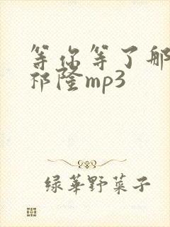 等你等了那么久祁隆mp3