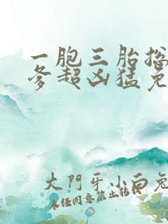 一胞三胎总裁爹爹超凶猛免费阅读