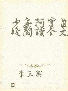 少年阿宾目录在线阅读全文