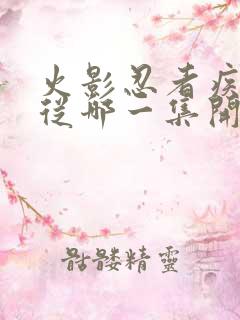 火影忍者疾风传从哪一集开始