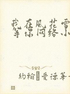 我在风花雪月里等你网络小说