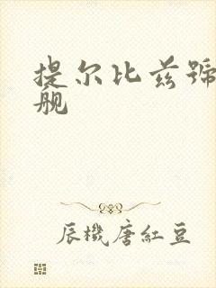 提尔比兹号战列舰