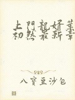上门龙婿叶辰萧初然最新章节列表