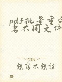 pdf批量重命名不同文件名