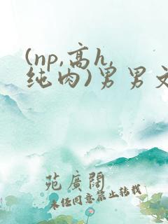 (np,高h,纯肉)男男文
