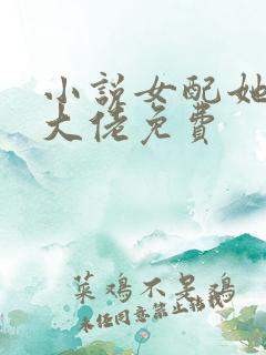 小说女配她成了大佬免费