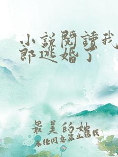 小说阅读我的新郎逃婚了