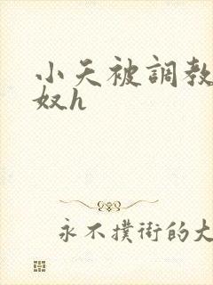 小夭被调教成肉奴h
