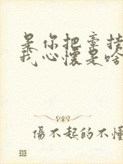 是你把牵挂记在我心怀是啥歌