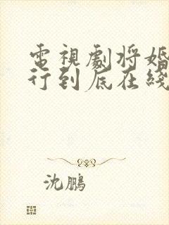 电视剧将婚姻进行到底在线观看