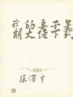 我的妻子是大乘期大佬下载