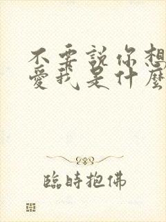 不要说你想我你爱我是什么歌