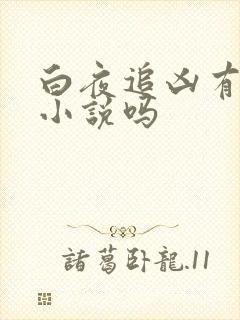 白夜追凶有原著小说吗