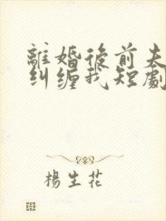 离婚后前夫总想纠缠我短剧免费观看
