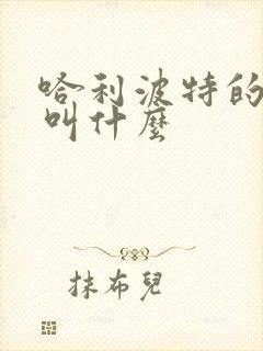 哈利波特的全名叫什么