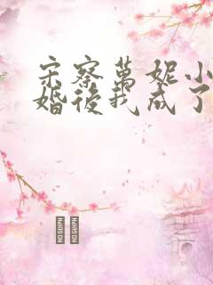 宋察万妮小说闪婚后我成了大佬的掌中之物