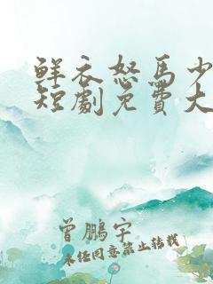 鲜衣怒马少年郎短剧免费大结局