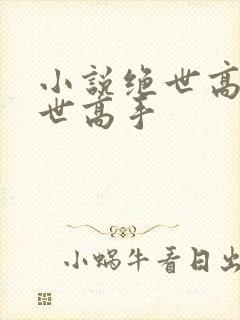 小说绝世高手绝世高手