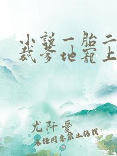 小说一胎二宝总裁爹地宠上天