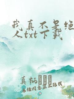 我真不是绝世高人txt下载