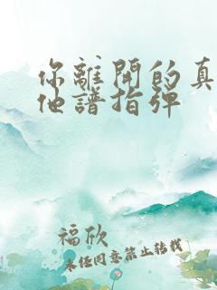 你离开的真相吉他谱指弹