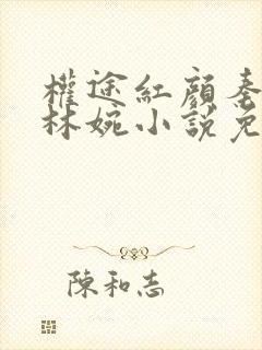 权途红颜秦天明林婉小说免费阅读