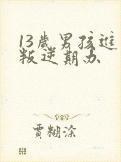 13岁男孩进入叛逆期办