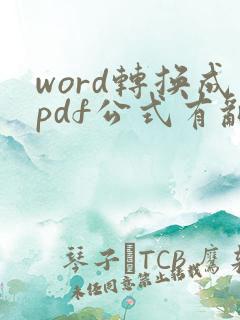 word转换成pdf公式有乱码