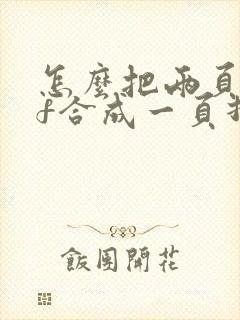 怎么把两页pdf合成一页打印出来