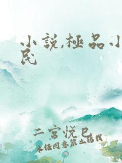 小说,极品小农民
