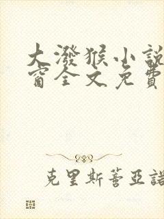 大泼猴小说无弹窗全文免费阅读