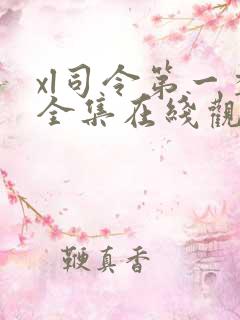 xl司令第一季全集在线观看完整版动漫