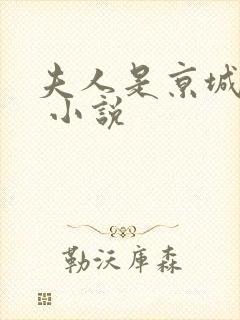 夫人是京城一霸 小说