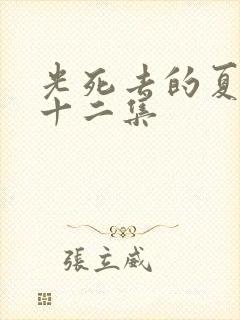 光死去的夏天第十二集