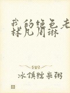 我的绝色老板娘林凡周琳