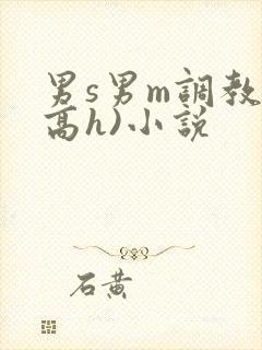 男s男m调教(高h)小说