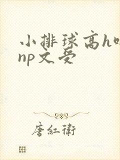 小排球高h啪肉np文受