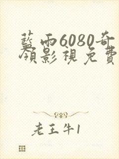 蓝雨6080奇领影视免费