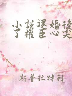 小说退婚后我成了权臣心尖宠
