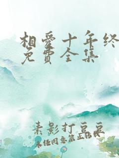 相爱十年终成空免费全集