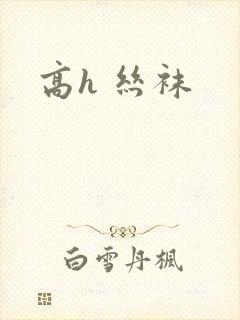 高h 丝袜