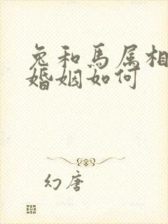 兔和马属相最配婚姻如何