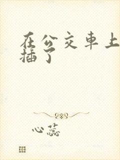 在公交车上被人插了
