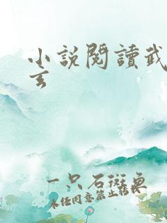 小说阅读武霸天玄