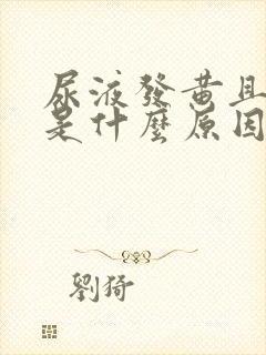 尿液发黄且浑浊是什么原因