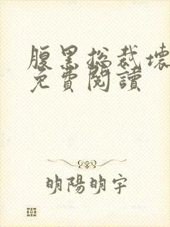 腹黑总裁坏坏爱免费阅读