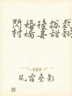 闪婚后总裁的农村娇妻甜翻了全集