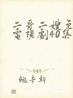 二哥二嫂免费网电视剧40集观看