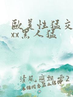 欧美性猛交xxxx黑人猛