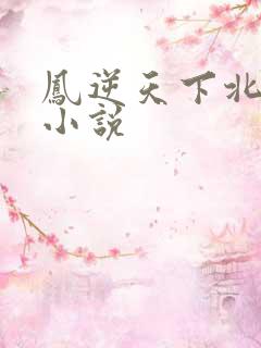 凤逆天下北月篇小说